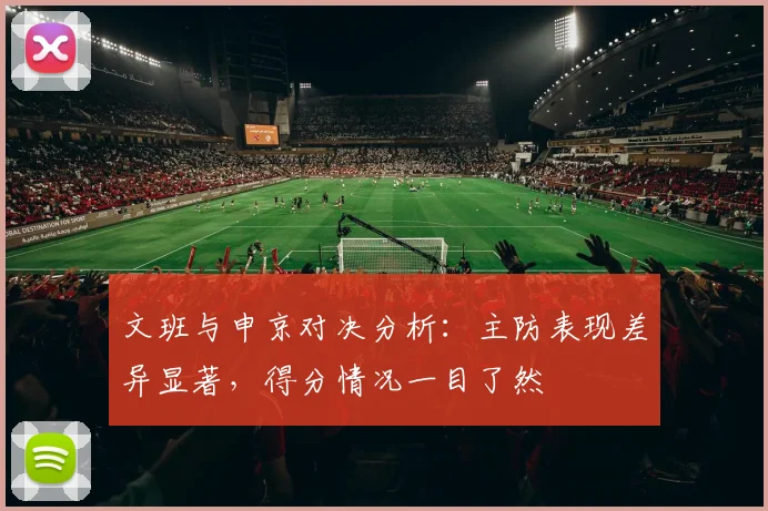 文班与申京对决分析：主防表现差异显著，得分情况一目了然