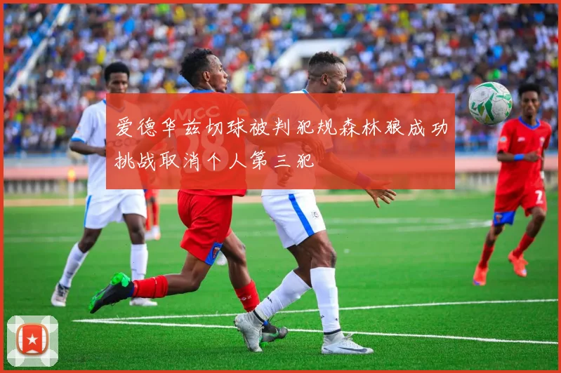 爱德华兹切球被判犯规森林狼成功挑战取消个人第三犯