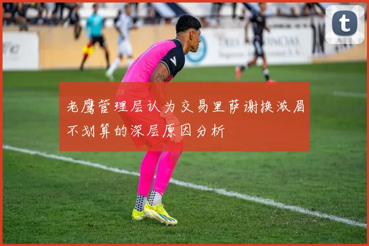 老鹰管理层认为交易里萨谢换浓眉不划算的深层原因分析
