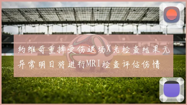 约维奇重摔受伤退场X光检查结果无异常明日将进行MRI检查评估伤情