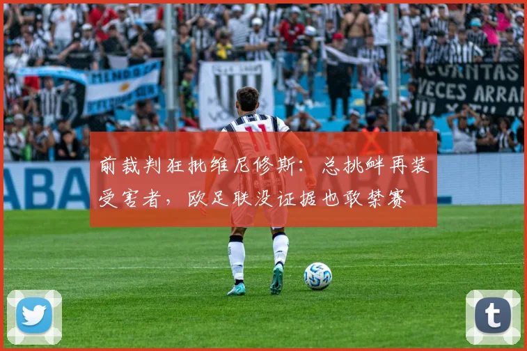 前裁判狂批维尼修斯：总挑衅再装受害者，欧足联没证据也敢禁赛