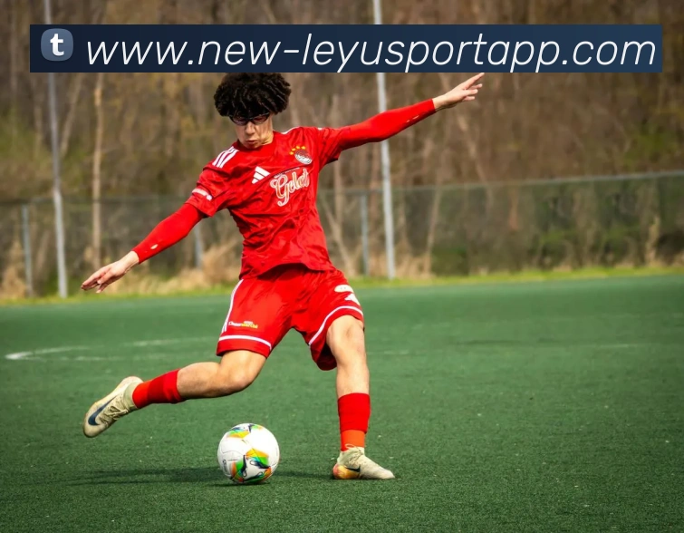 乐鱼体育服务体系