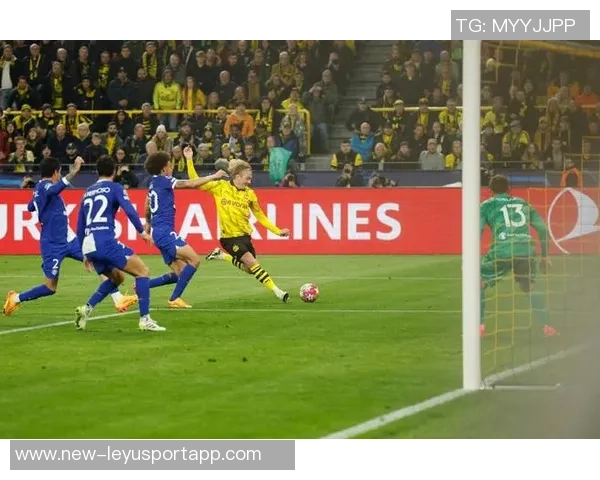 布兰特主场连续四场破门创首秀以来新纪录展现出色状态