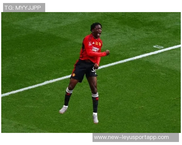 谢林汉姆认为梅努适合利兹联阿莫林的看法并不影响他的潜力